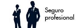 Seguro profesional